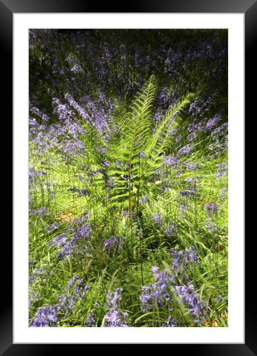 fern explosion Framed Mounted Print by Simon Johnson