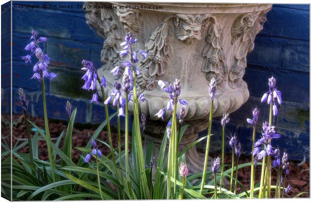 Bluebells and Decorative Urn with artistic filter. Canvas Print by Jim Jones