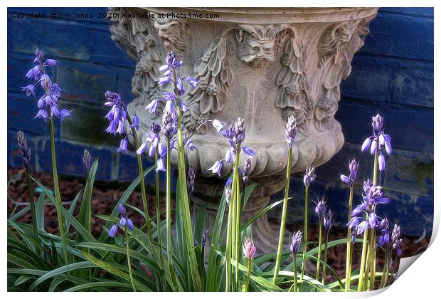 Bluebells and Decorative Urn with artistic filter. Print by Jim Jones