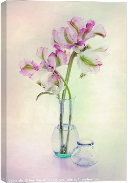 Tulips in a Glass Vase Canvas Print by Ann Garrett