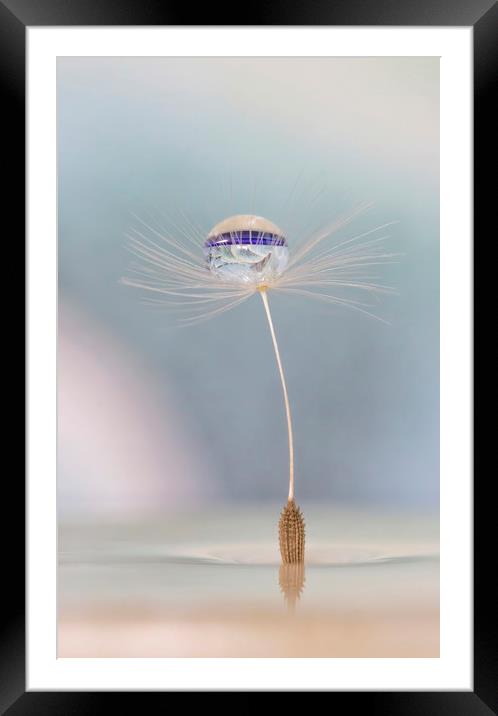 Tiny Dancer Framed Mounted Print by Kelly Bailey