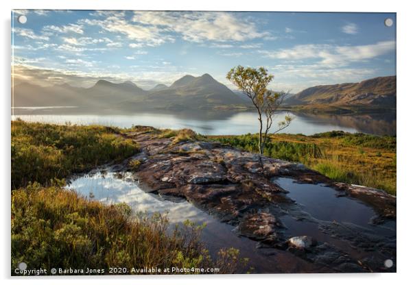 Torridon Hills and Loch Torridon Autumn  Scotland Acrylic by Barbara Jones