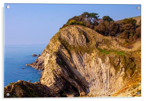 Dorset Coast Acrylic by David Skone