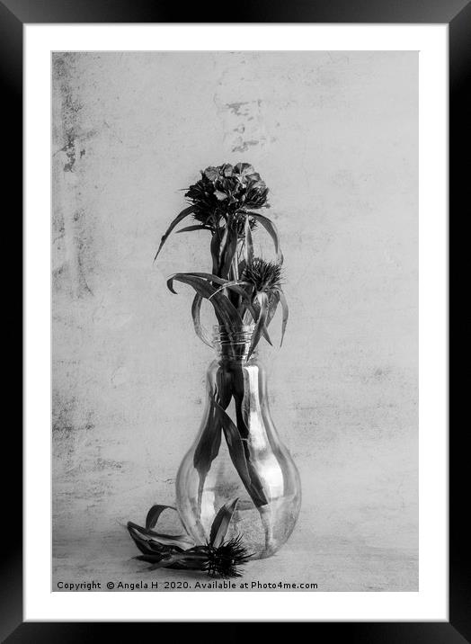 Flowers in vase Framed Mounted Print by Angela H