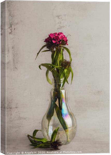 Flowers in vase Canvas Print by Angela H