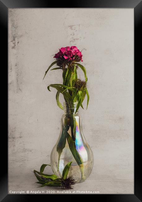 Flowers in vase Framed Print by Angela H