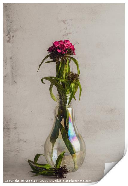 Flowers in vase Print by Angela H