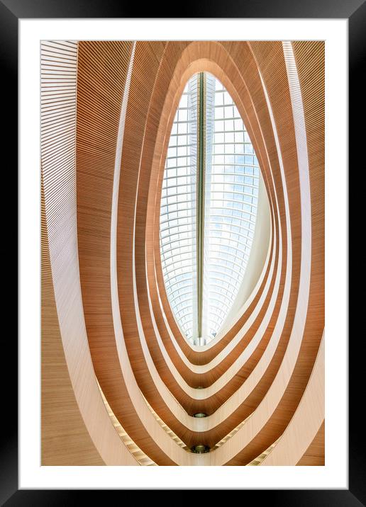 Calatrava Library Framed Mounted Print by Svetlana Sewell