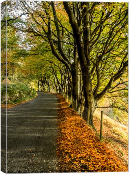 The Road Canvas Print by Alan Simpson