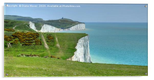 The Seven Sisters white cliffs  Acrylic by Diana Mower