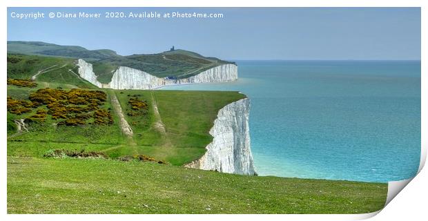 The Seven Sisters white cliffs  Print by Diana Mower