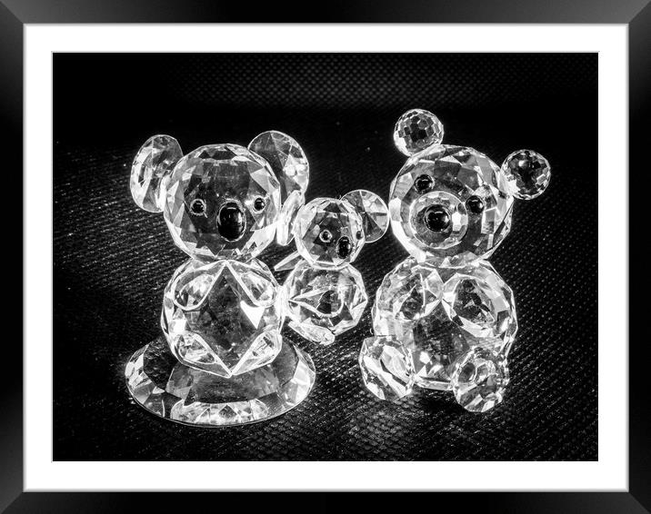 Crystal Bears Framed Mounted Print by David Jeffery