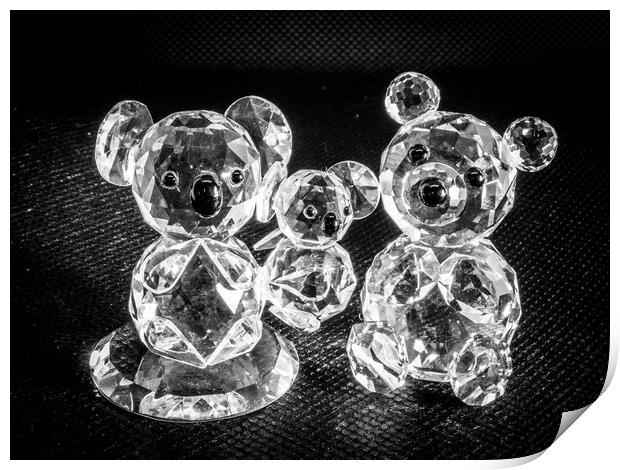 Crystal Bears Print by David Jeffery