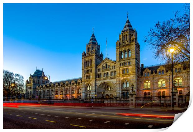 Natural History Museum at Blue Hour Print by Steve Mantell