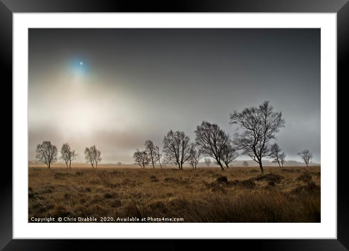 A misty Winter morning on Leash Fen (6) Framed Mounted Print by Chris Drabble