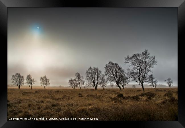 A misty Winter morning on Leash Fen (6) Framed Print by Chris Drabble