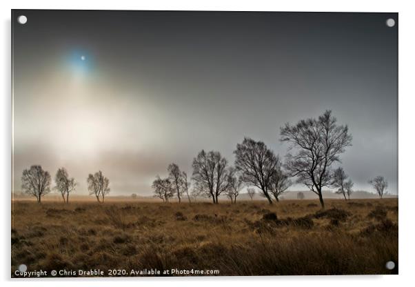 A misty Winter morning on Leash Fen (6) Acrylic by Chris Drabble