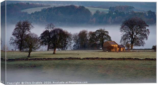 Bakewell fields at first light Canvas Print by Chris Drabble