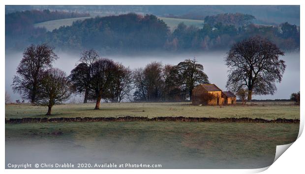 Bakewell fields at first light Print by Chris Drabble