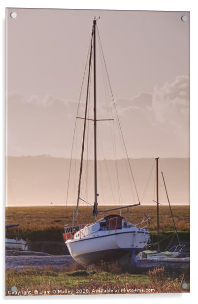 Boat moored at Parkgate Wirral at dusk Acrylic by Liam Neon