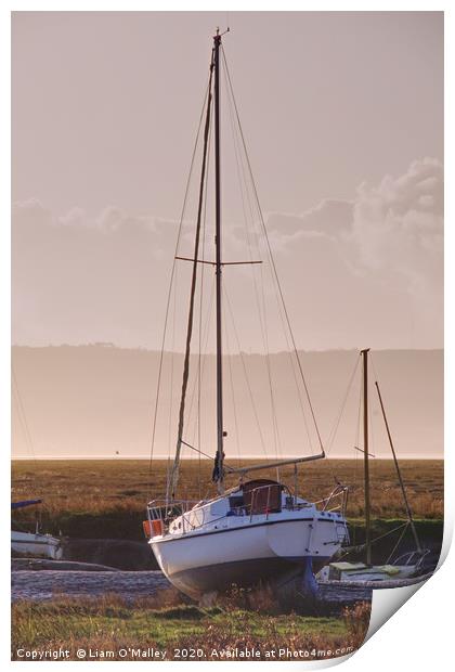 Boat moored at Parkgate Wirral at dusk Print by Liam Neon