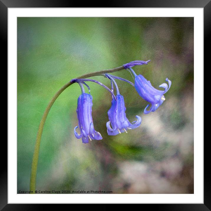 Bluebells In The Wind Framed Mounted Print by Caroline Claye
