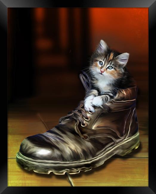 Puss in Boot Framed Print by Julie Hoddinott