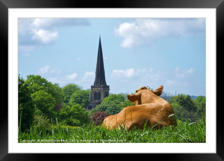 Enjoying The View at Wentworth  Framed Mounted Print by Alison Chambers