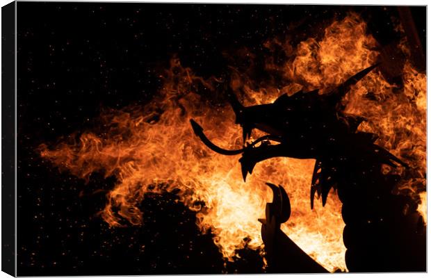 Dragon Fire. Canvas Print by Mike Evans