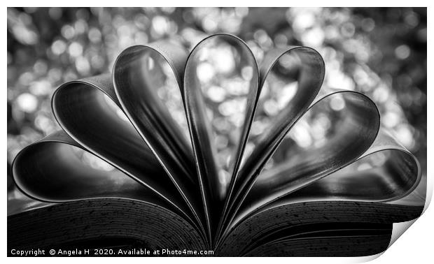 Open book Print by Angela H