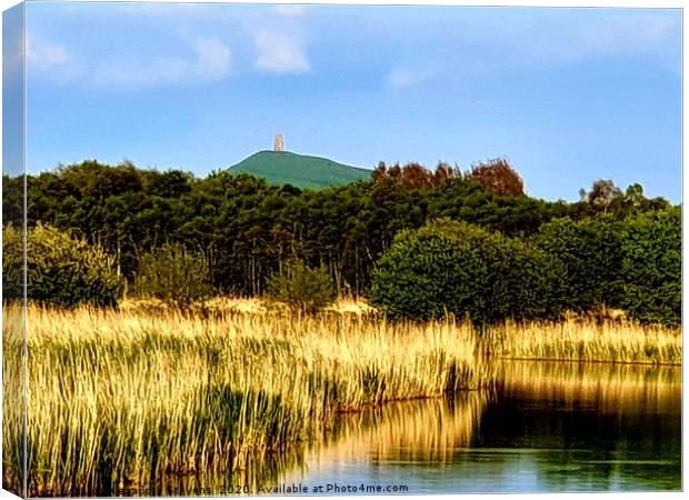 Glastonbury Tor and the Somerset Levels  Canvas Print by Alexandra Stevens