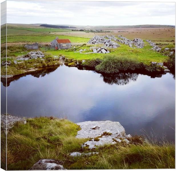 Carbilly Tor quarry on Bodmin Moor, Cornwall Canvas Print by Alexandra Stevens