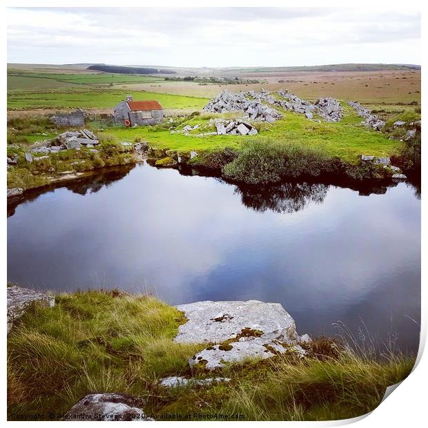Carbilly Tor quarry on Bodmin Moor, Cornwall Print by Alexandra Stevens