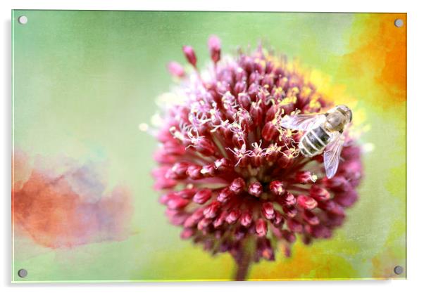 Bee on Clover Acrylic by DHWebb Art