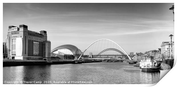 Tyne Arches - Toned Print by Trevor Camp