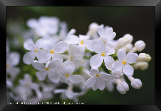 Delicate White Blossom Framed Print by Kasia Design