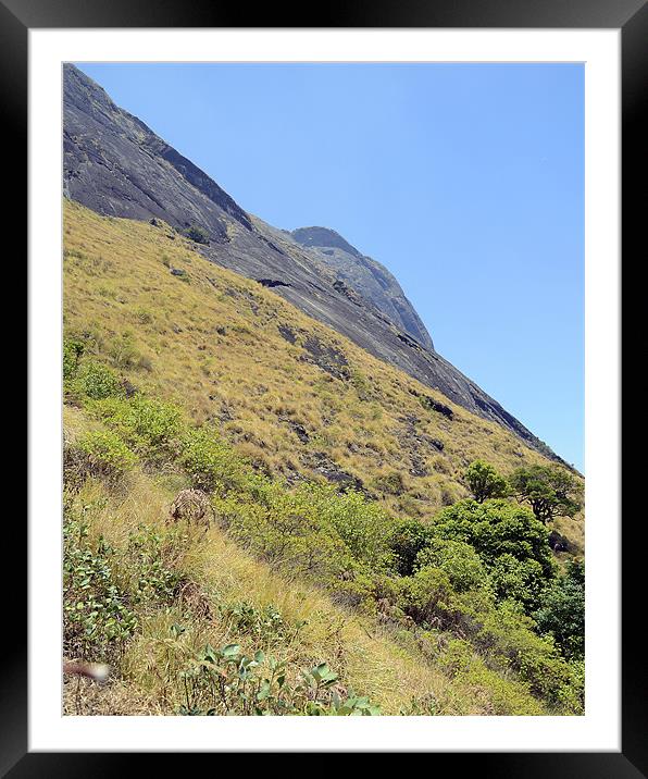 mountain Munnar Framed Mounted Print by Hassan Najmy