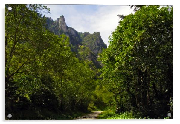 Gorges de la Frau Acrylic by Steven Watson