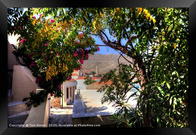 The Roloi Through the Foliage Framed Print by Tom Gomez