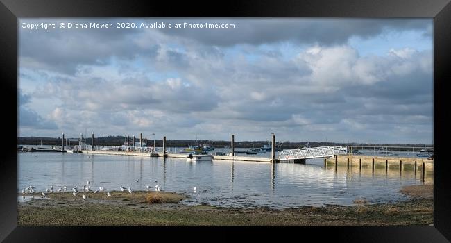 West Mersea Jetty    Framed Print by Diana Mower