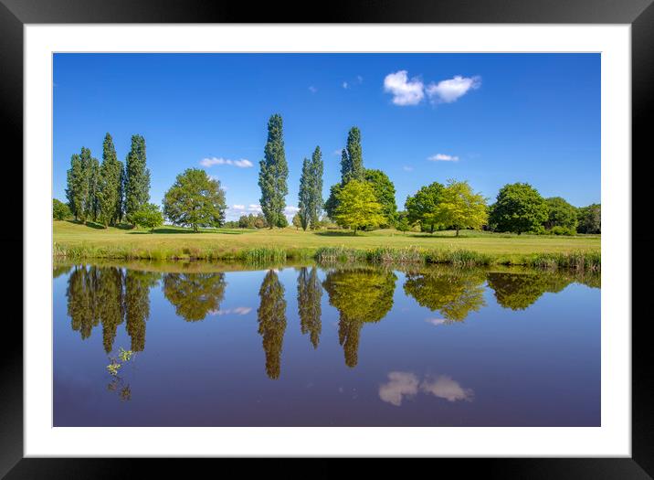 Picture Perfect Pond Framed Mounted Print by Steve Mantell