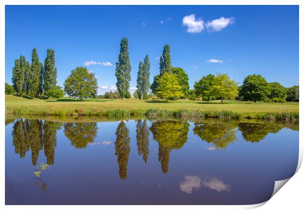 Picture Perfect Pond Print by Steve Mantell