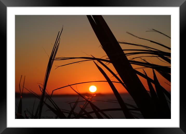 Sunset Through The Reeds Framed Mounted Print by Caroline Claye