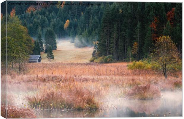 Misty morning at Lake Geroldsee Canvas Print by Robert Fesus