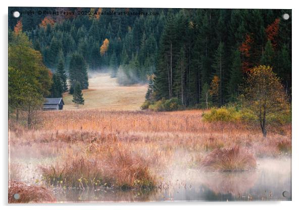 Misty morning at Lake Geroldsee Acrylic by Robert Fesus