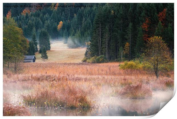 Misty morning at Lake Geroldsee Print by Robert Fesus