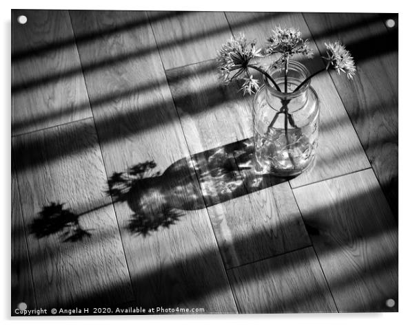 Shadows Acrylic by Angela H