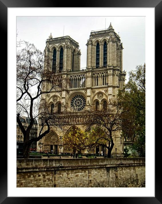 Notre Dame Cathedral Framed Mounted Print by Martin Smith