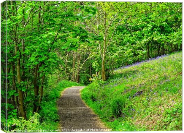 Path through the bluebell woods         Canvas Print by yvonne & paul carroll