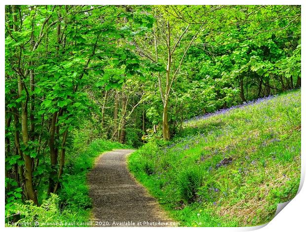 Path through the bluebell woods         Print by yvonne & paul carroll